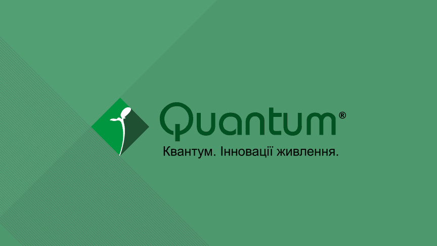 Quantum
