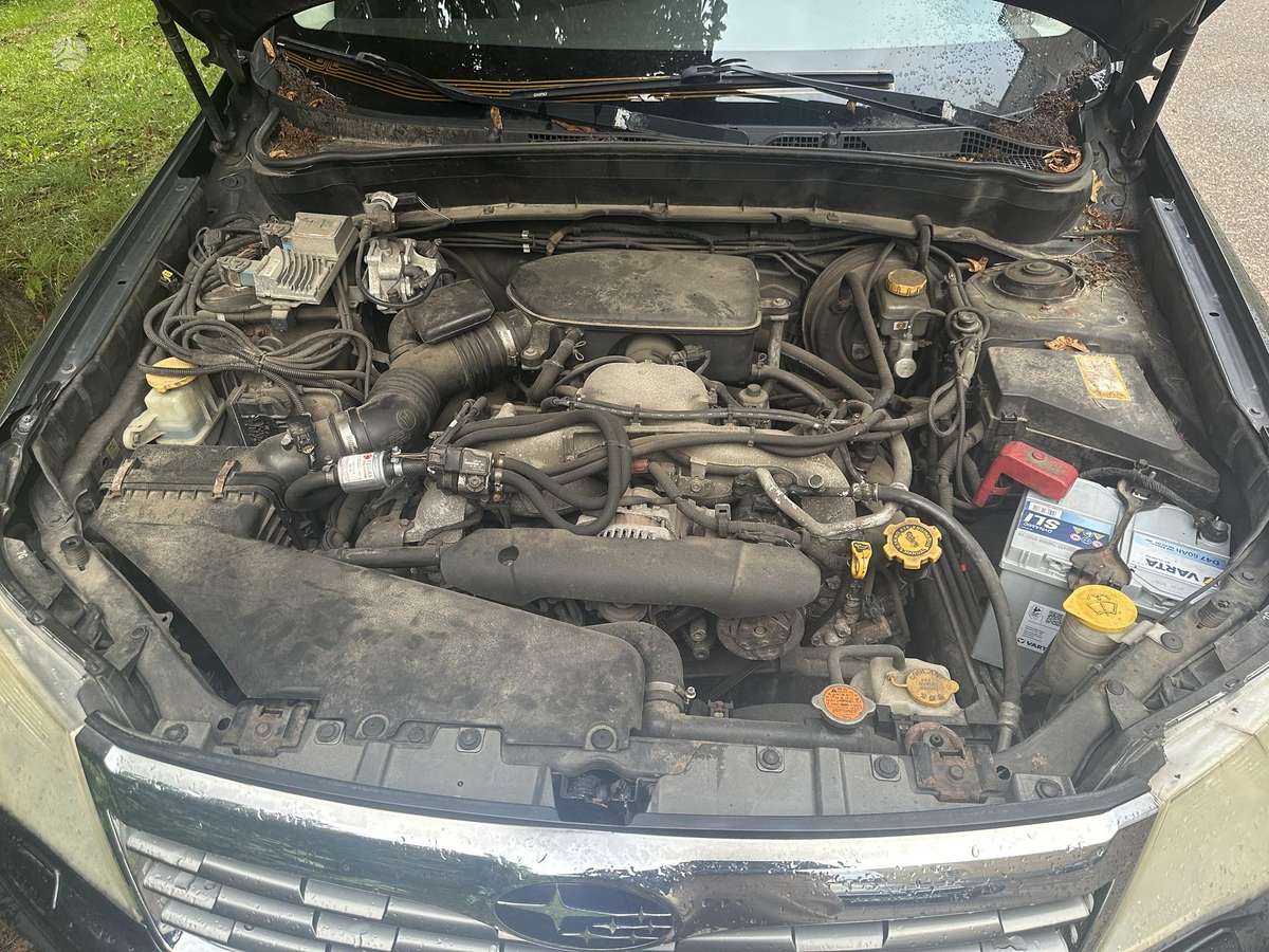 Subaru Forester 2010 — photo 11