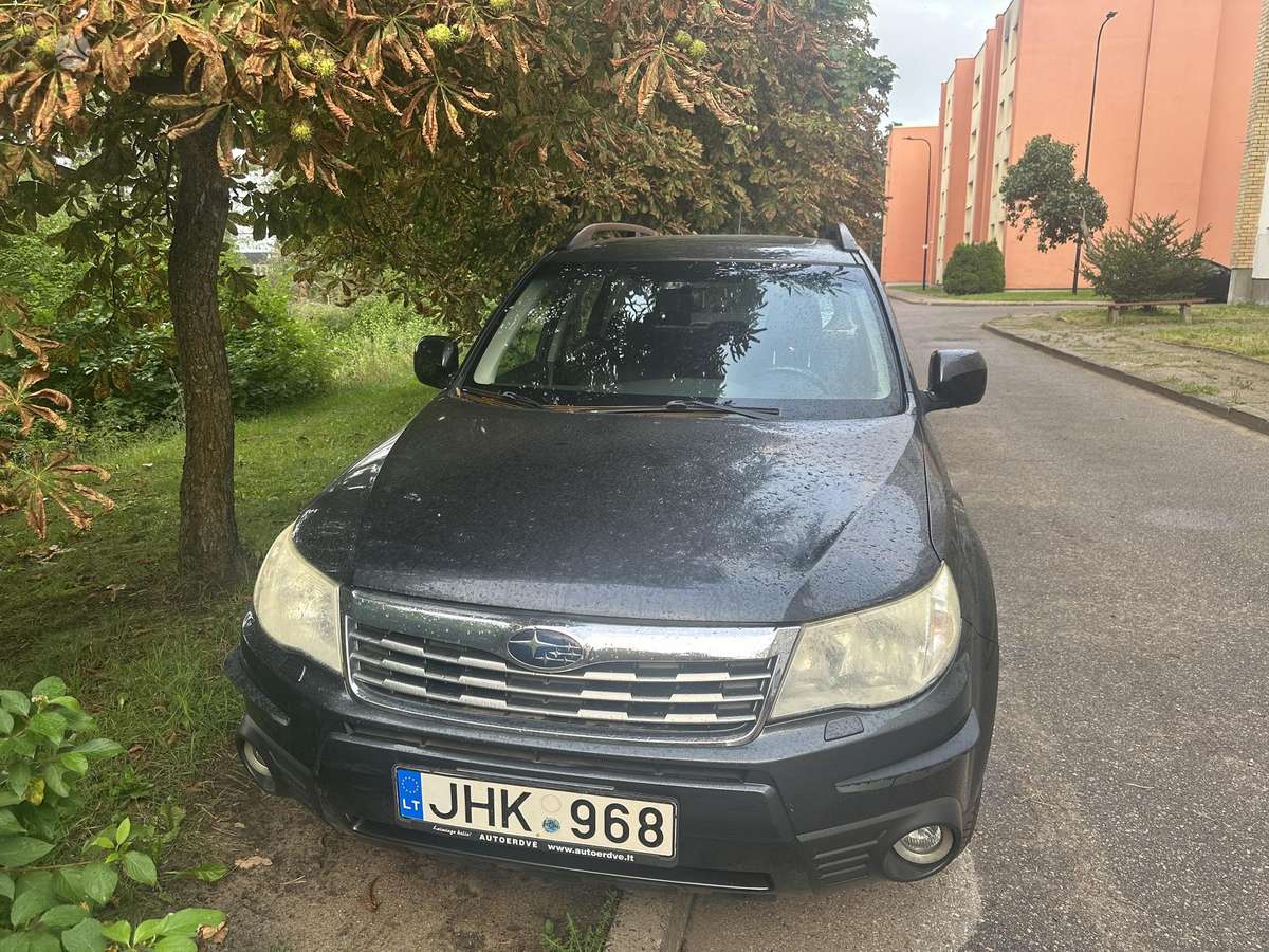 Subaru Forester 2010 — rear view