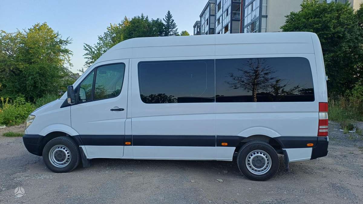 Mercedes-Benz Sprinter 2009 — rear view