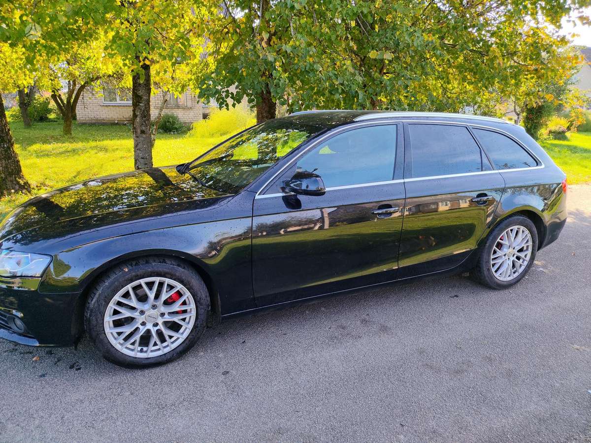 Audi A4 2010 — вигляд ззаду
