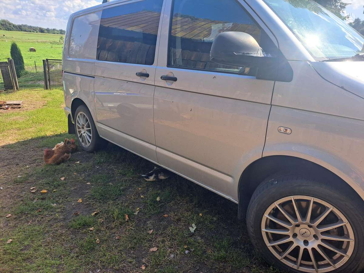 Volkswagen Transporter 2010 — photo 5