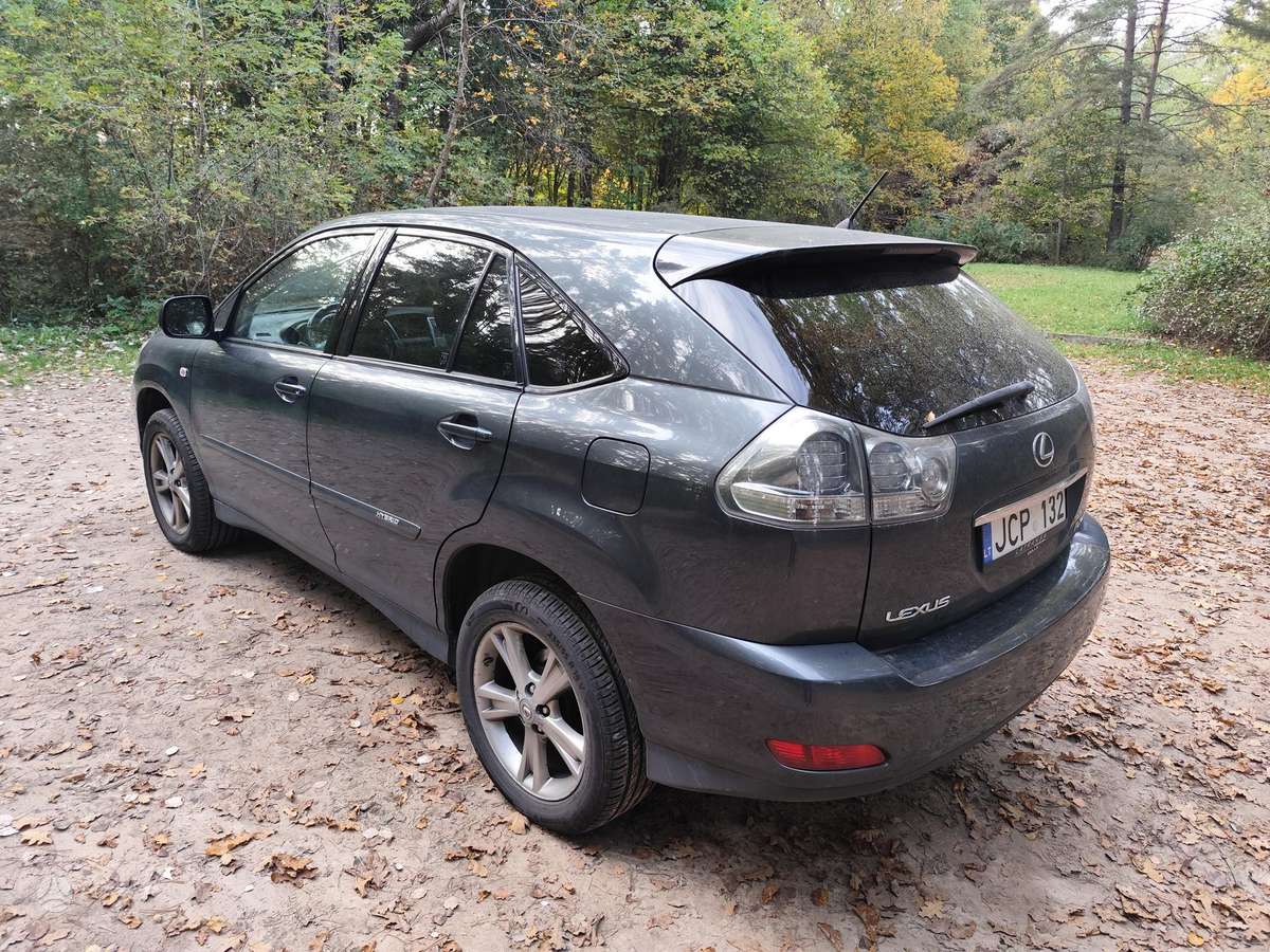 Lexus RX 2007 — rear view