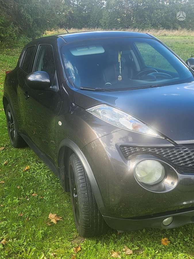 Nissan Juke 2011 — rear view