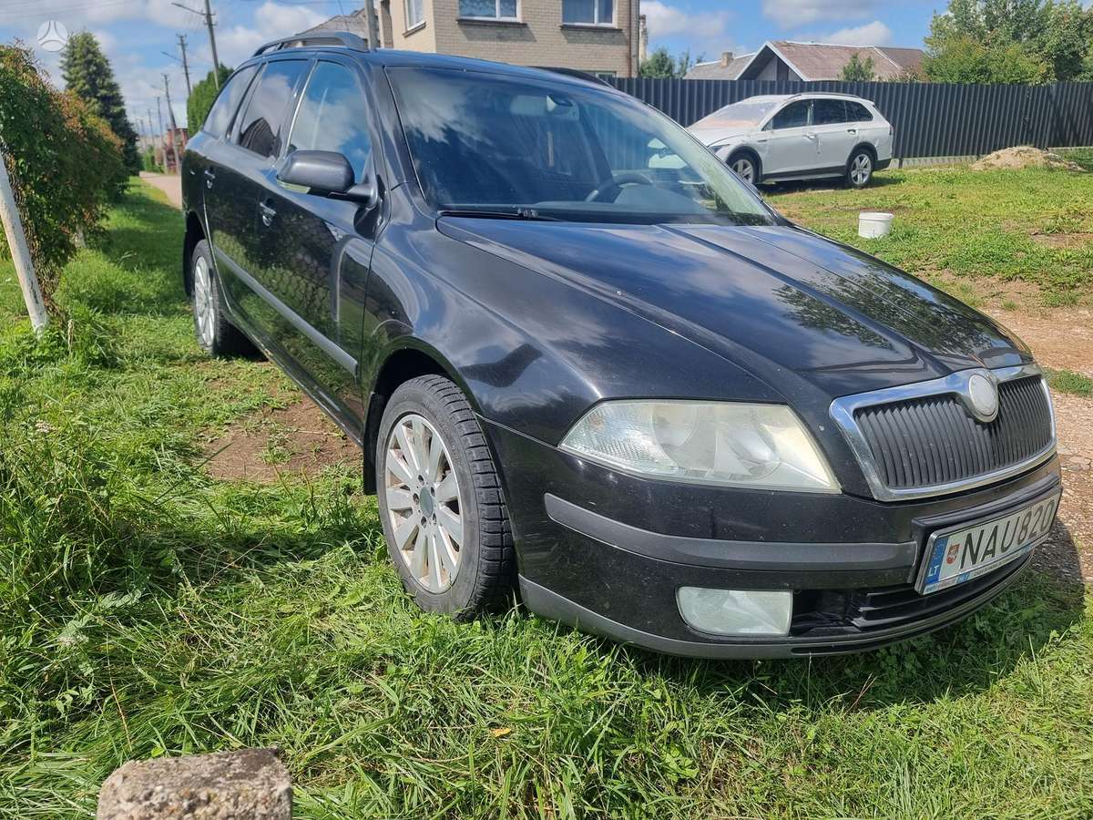 Skoda Octavia 2006 — вигляд ззаду