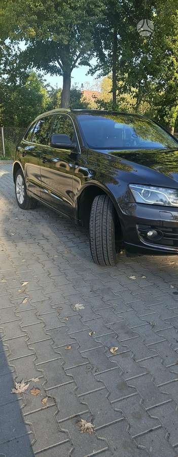 Audi Q5 2011 — вигляд ззаду