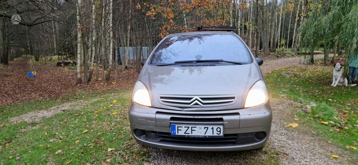 Citroen Xsara 2009 — rear view