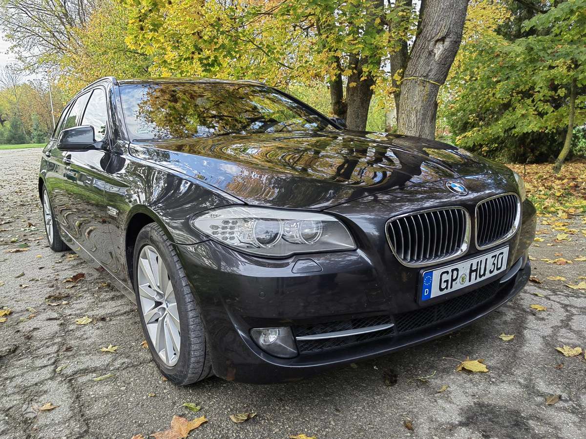 BMW 530 2012 — вигляд ззаду