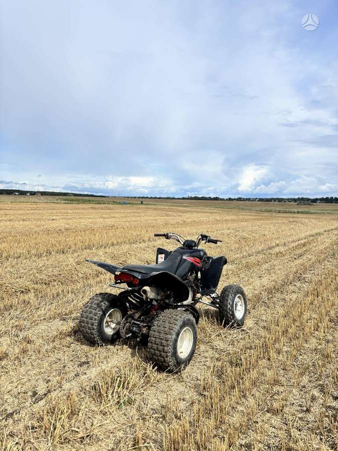Yamaha Raptor 2007 — engine 350 cm³