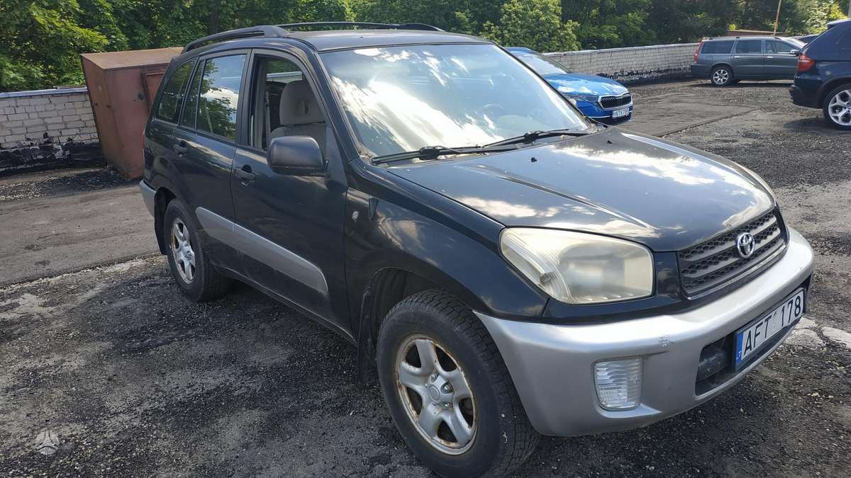 Toyota RAV4 2004 — rear view
