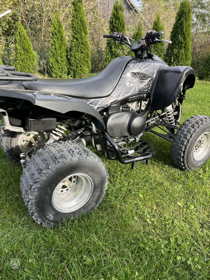 Kawasaki KFX 2007 — engine 700 cm³