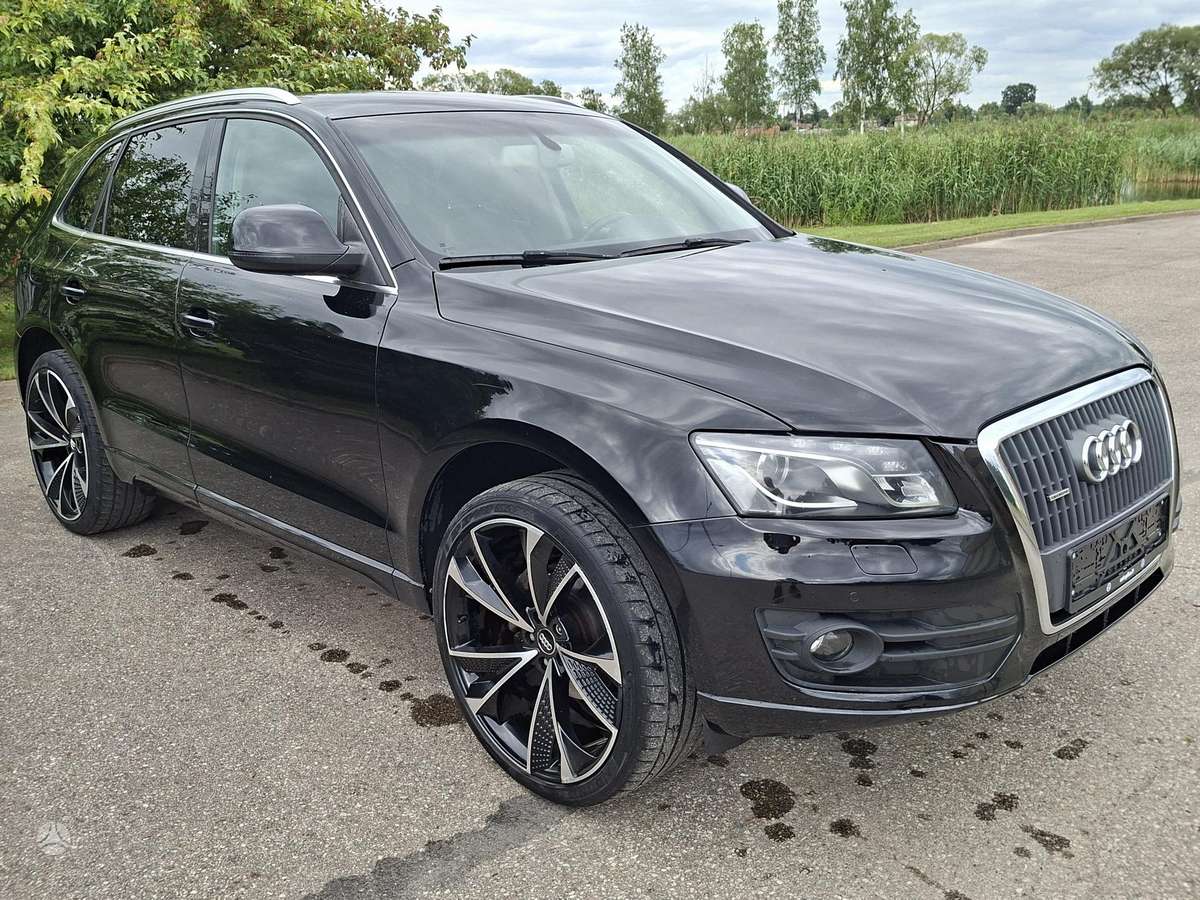 Audi Q5 2010 — вигляд ззаду