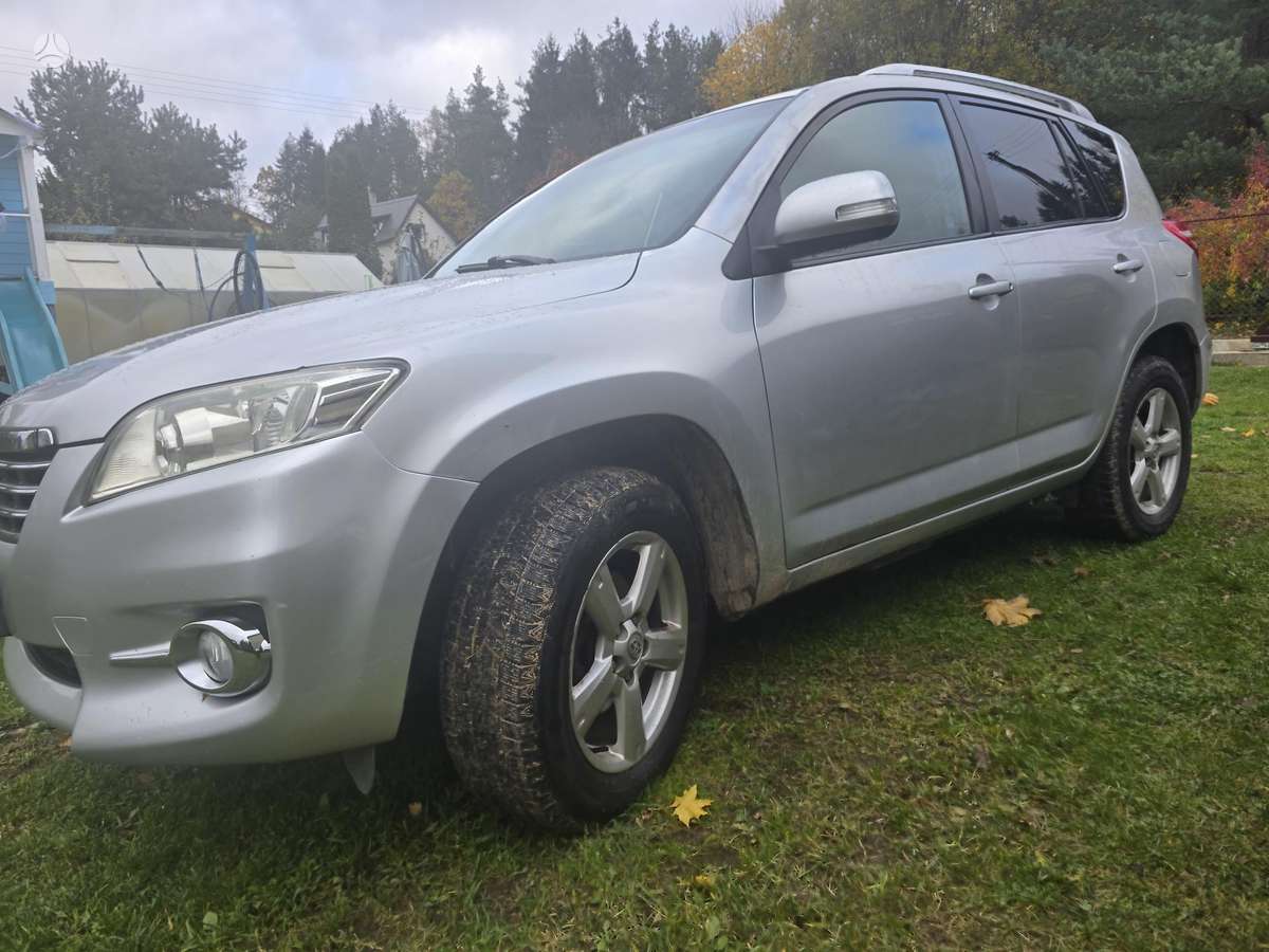 Toyota RAV4 2010 — вигляд ззаду