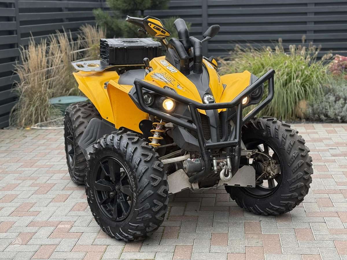 Can-Am Renegade 2008 — вигляд ззаду