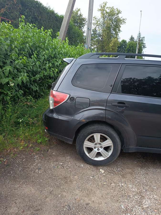 Subaru Forester 2010 — rear view