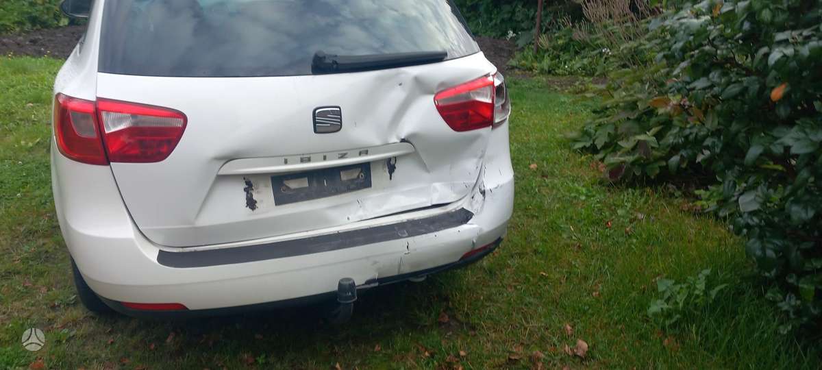 Seat Ibiza 2011 — вигляд ззаду