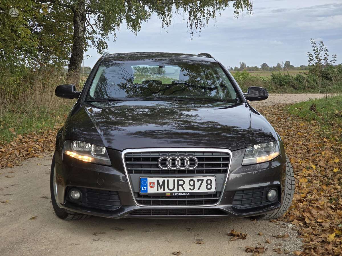 Audi A4 2010 — вигляд ззаду
