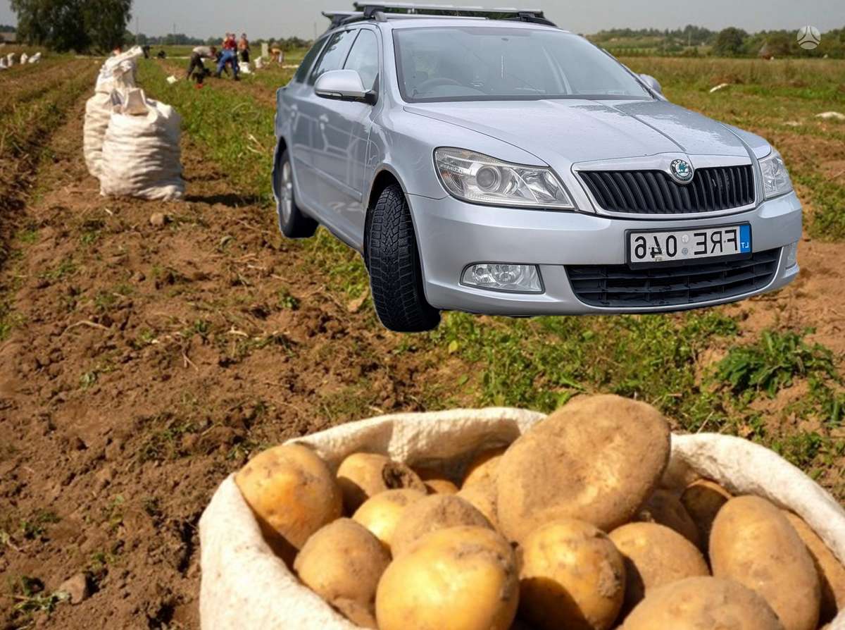 Skoda Octavia 2011 — photo 8