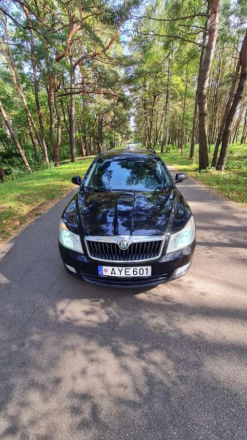 Skoda Octavia 2010 — rear view