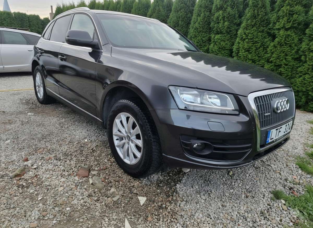 Audi Q5 2009 — rear view