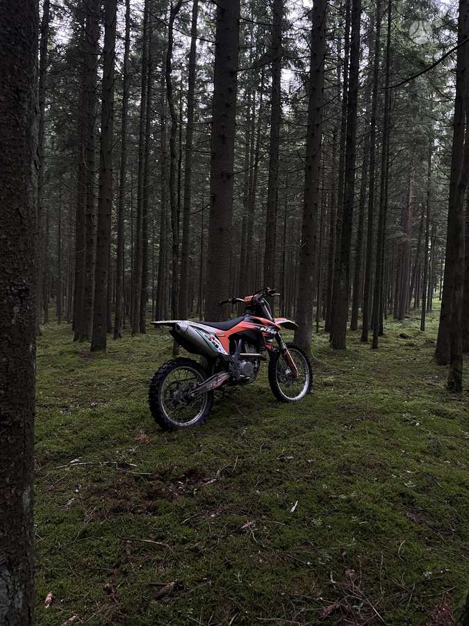 KTM SX 2012 — rear view