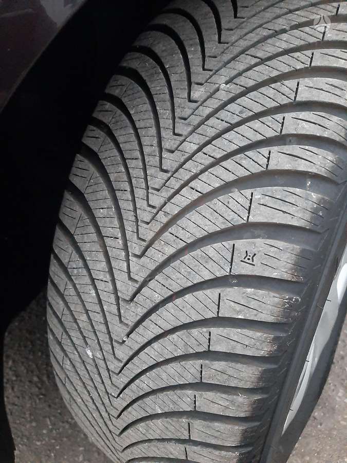 Opel Insignia 2014 — photo 5