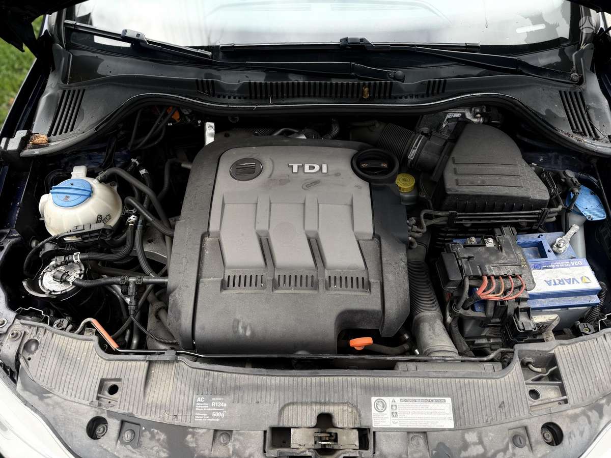 Seat Ibiza 2010 — photo 34