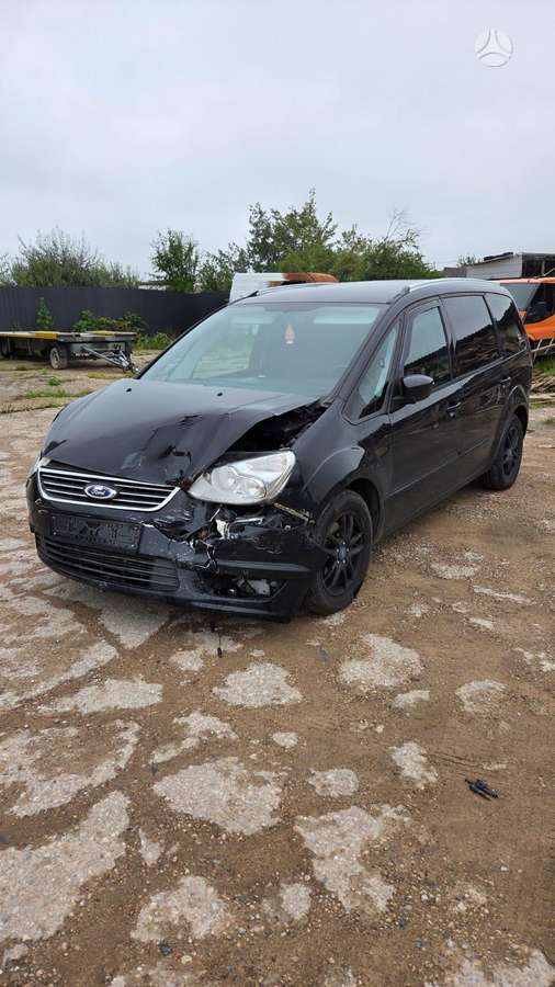 Ford Galaxy, 2010