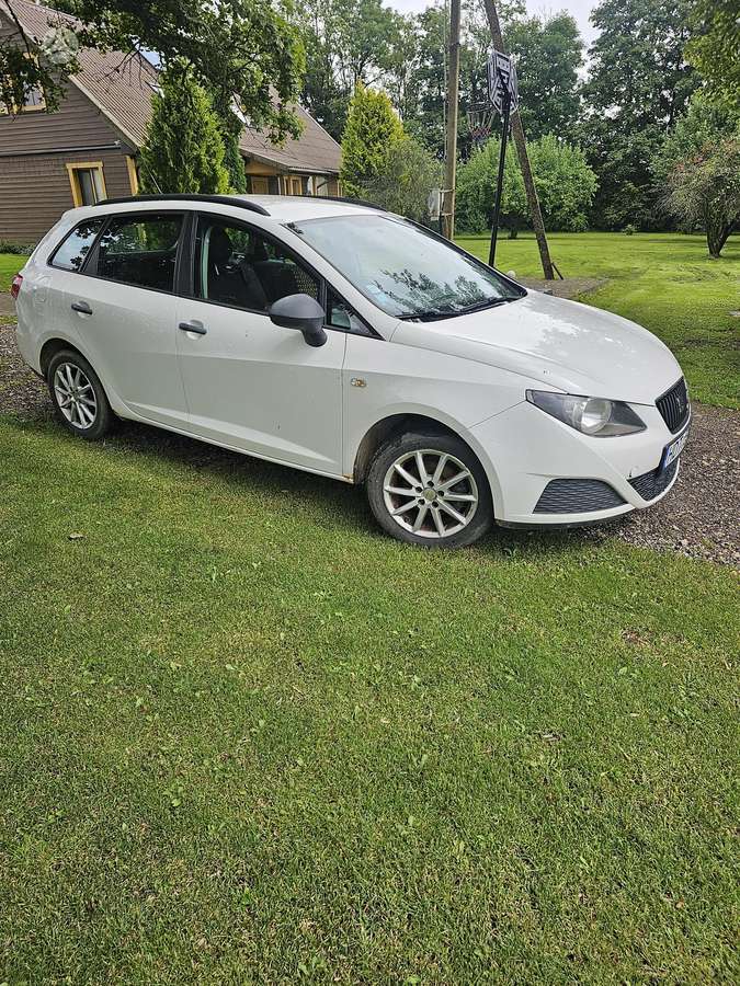 Seat Ibiza 2010 — rear view