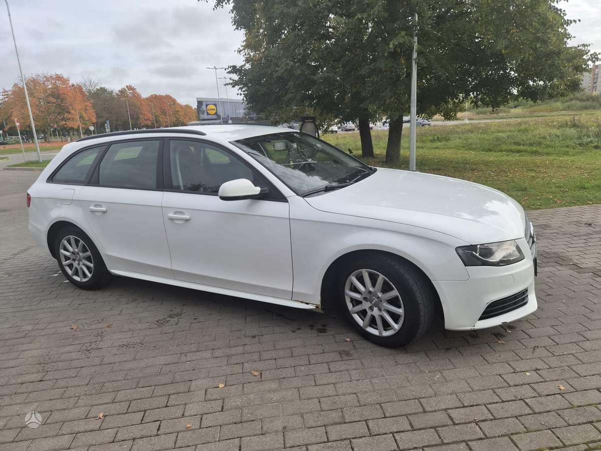 Audi A4 2010 — вигляд ззаду
