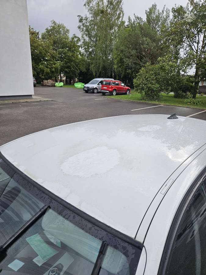 BMW 320 2008 — photo 8