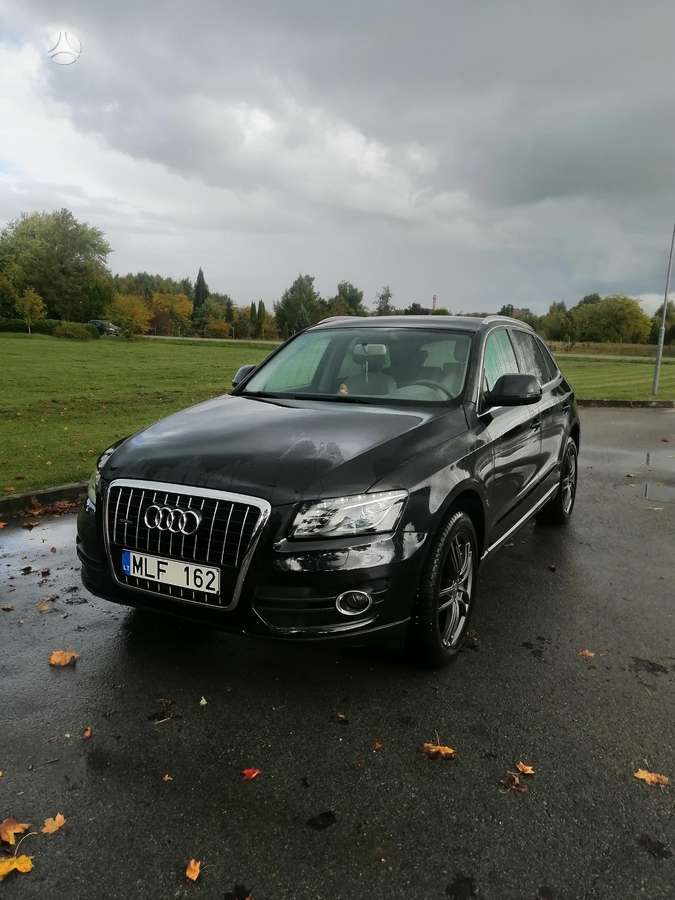 Audi Q5 2009 — вигляд ззаду