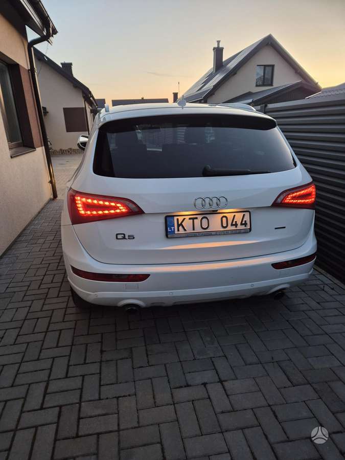 Audi Q5 2010 — rear view