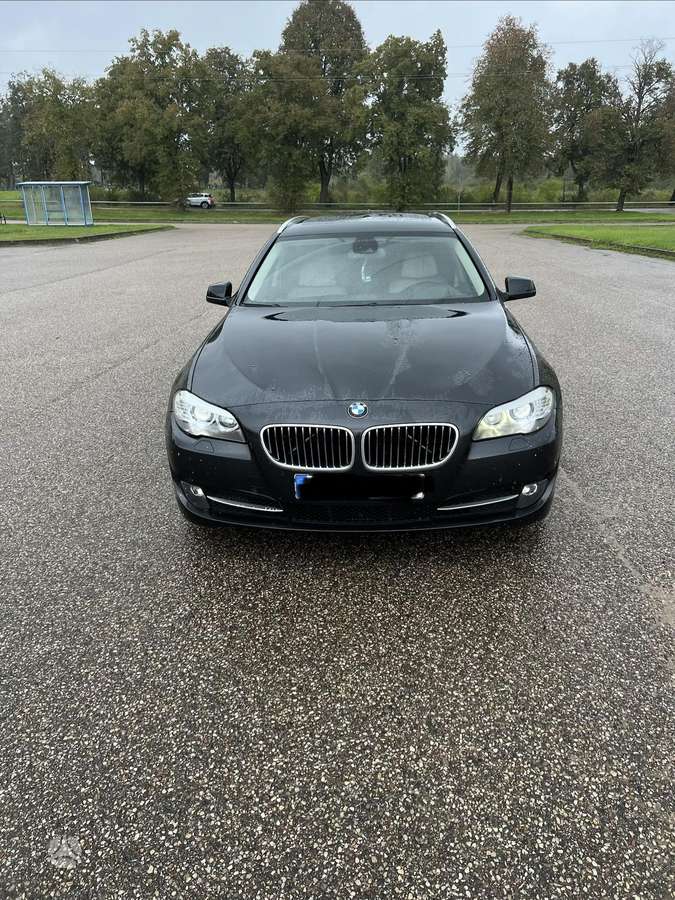 BMW 525 2010 — вигляд ззаду