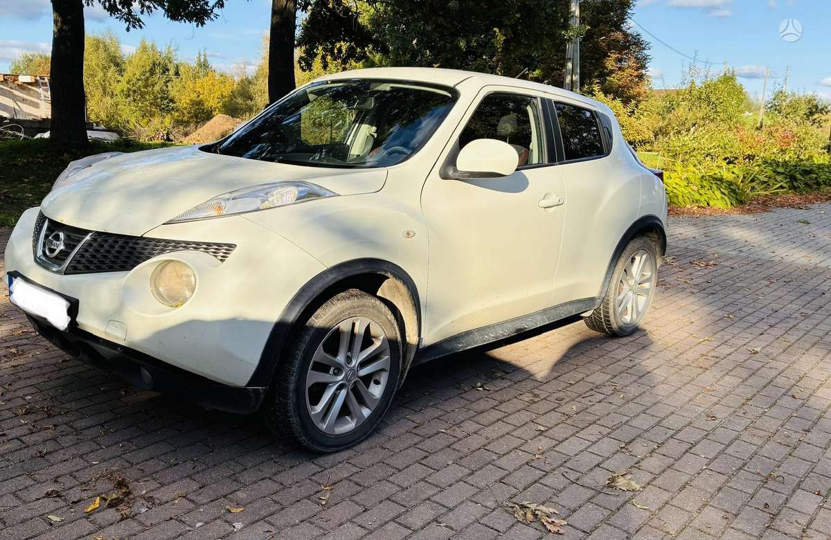 Nissan Juke 2011 — вигляд ззаду