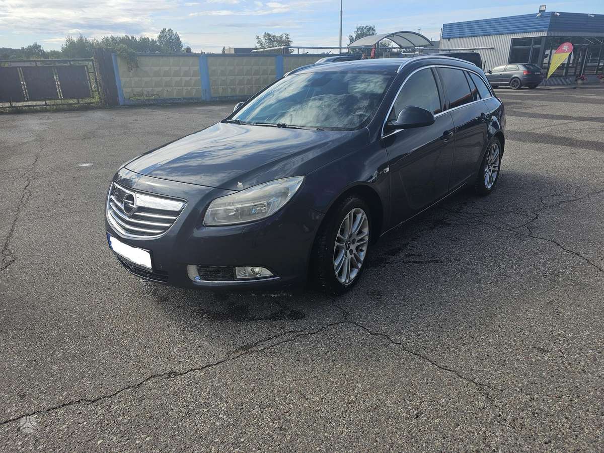 Opel Insignia 2010 — вигляд ззаду