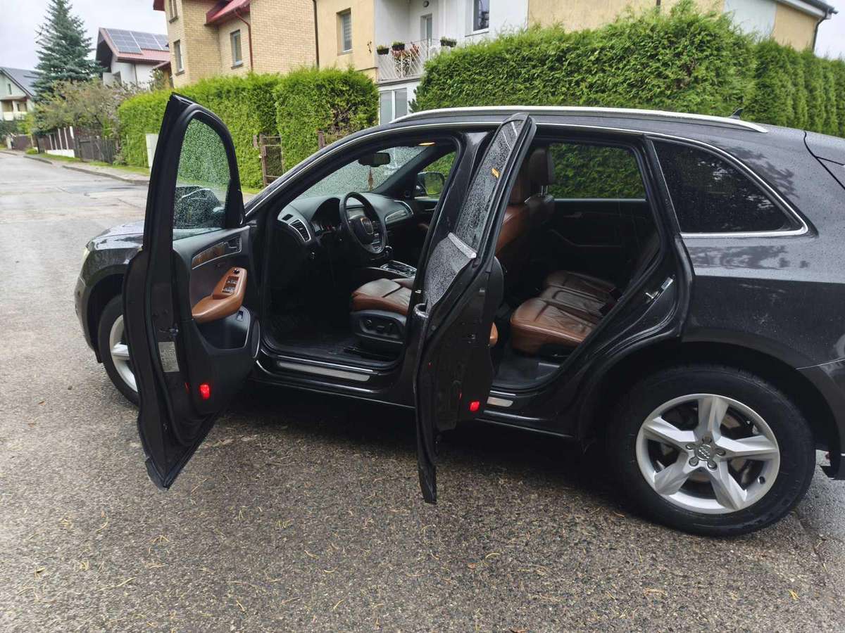 Audi Q5 2009 — rear view