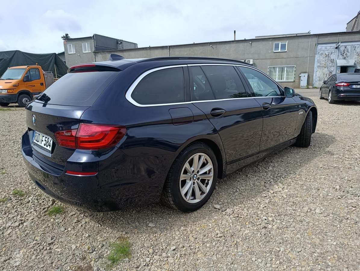 BMW 520 2010 — вигляд ззаду