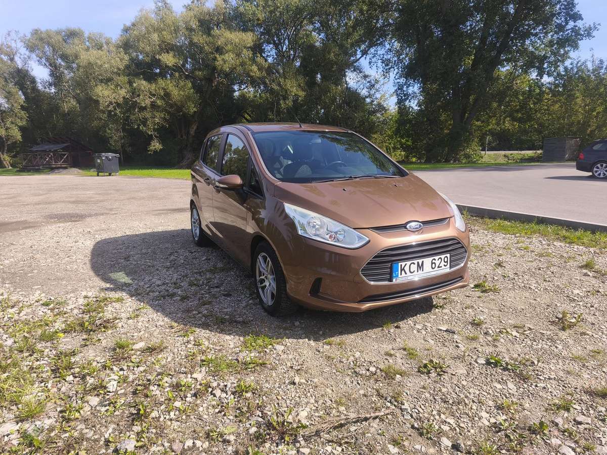 Ford B-MAX 2013 — вигляд ззаду