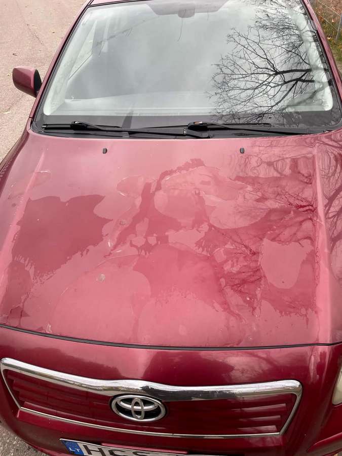 Toyota Avensis 2004 — photo 6