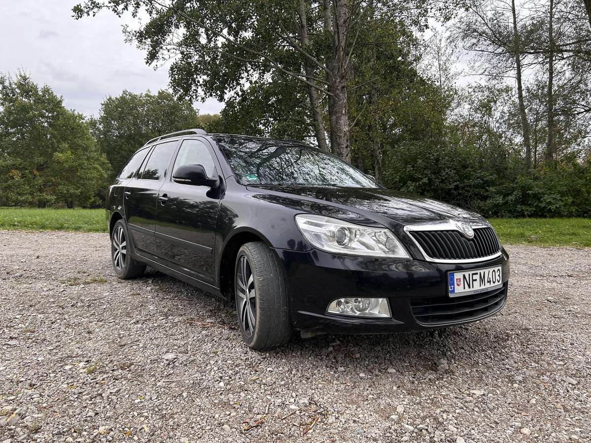 Skoda Octavia 2011 — вигляд ззаду