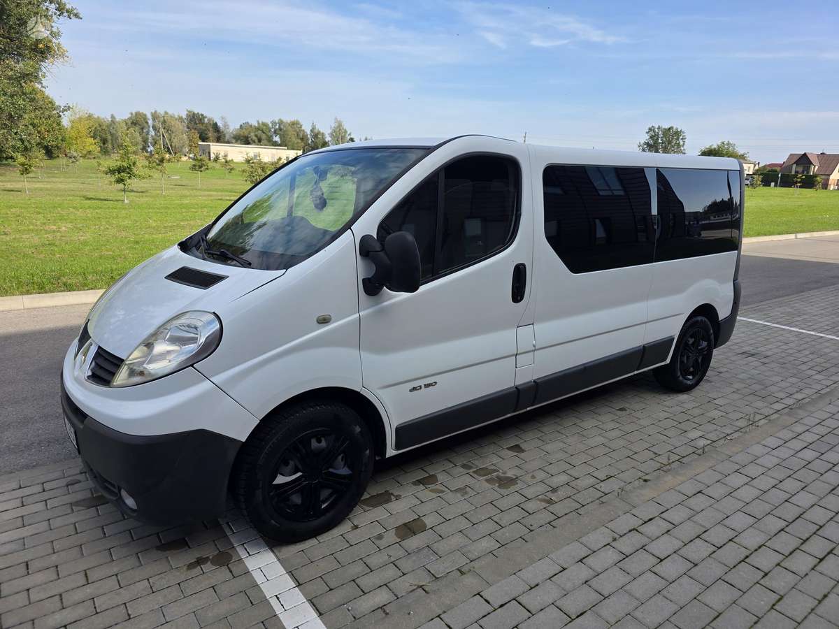 Renault Trafic 2010 — вигляд ззаду