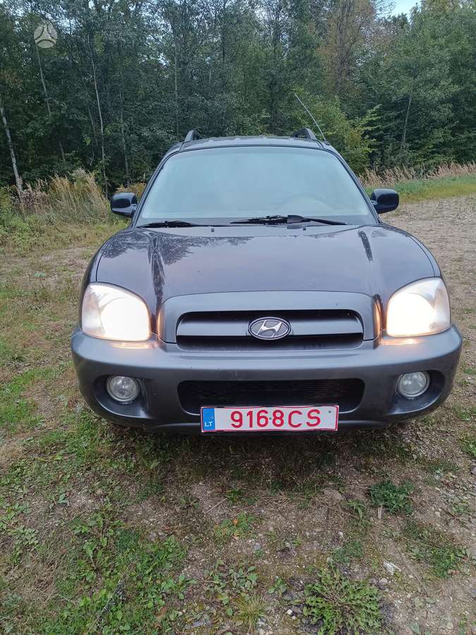 Hyundai Santa 2006 — салон