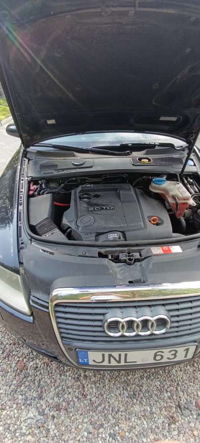 Audi A6 2005 — photo 7