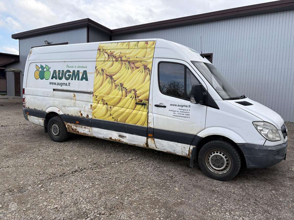 Mercedes-Benz Sprinter 2012 — вигляд ззаду