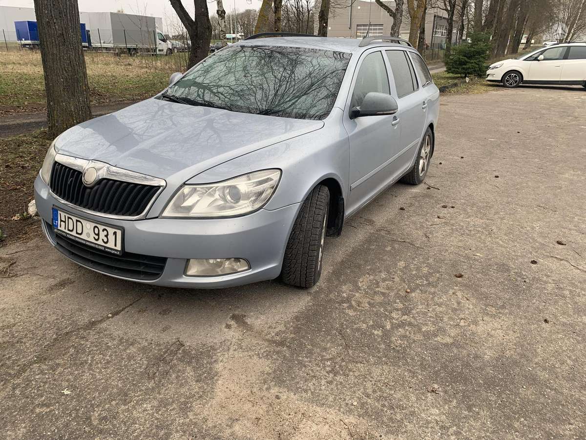 Skoda Octavia 2010 — rear view