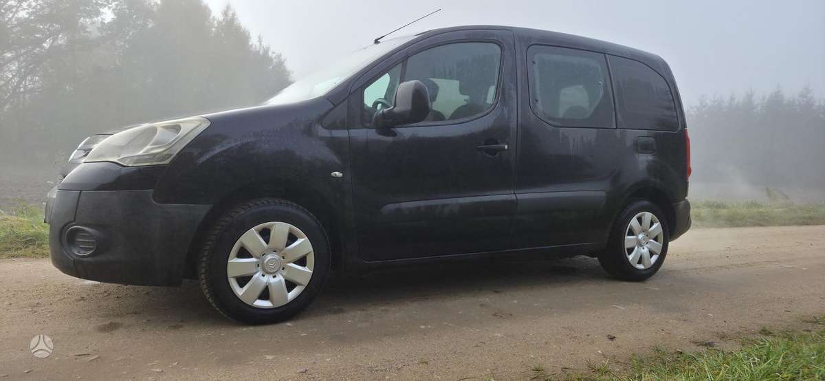 Citroen Berlingo 2009 — rear view