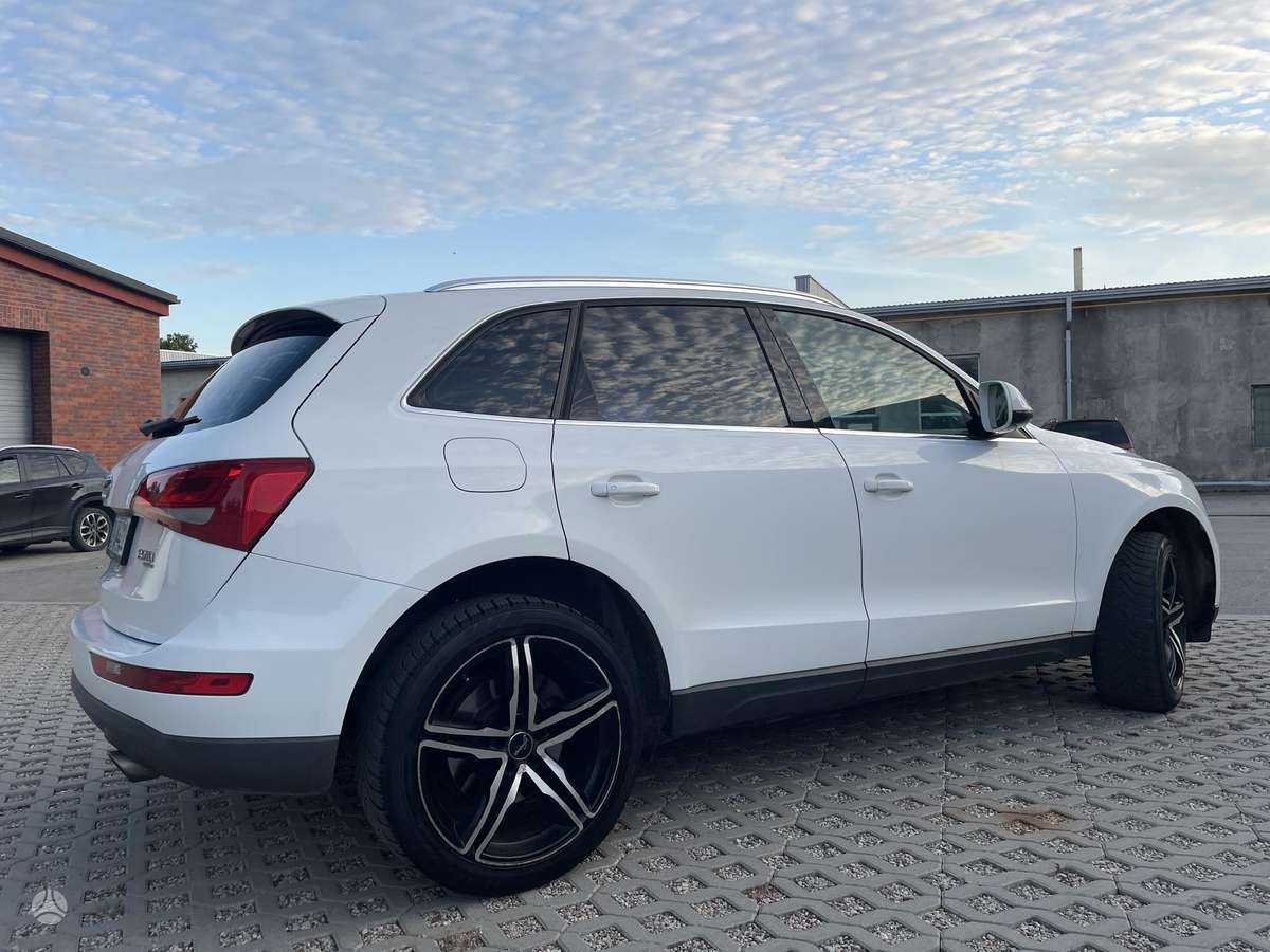 Audi Q5 2009 — вигляд ззаду