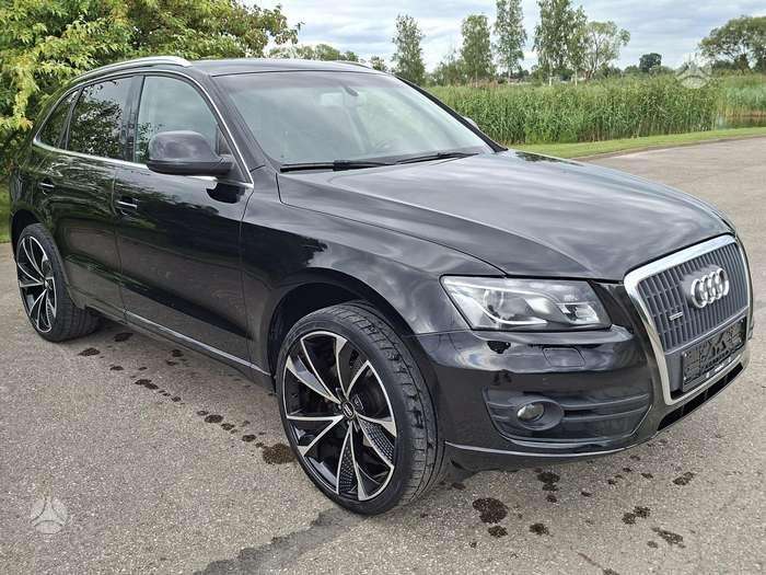 Audi Q5 2010 — вигляд ззаду