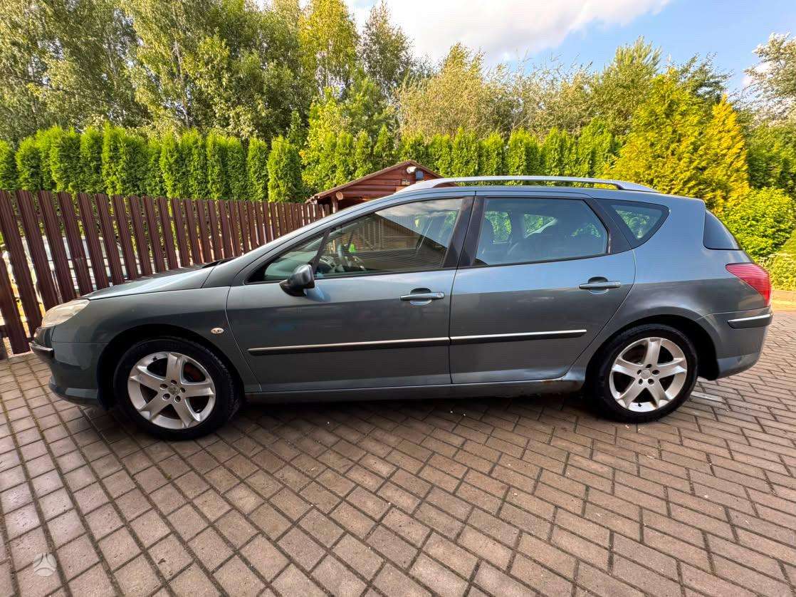 Peugeot 407 2007 — вигляд ззаду